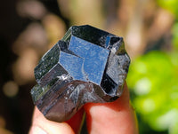 Natural Schorl Black Tourmaline Terminated Crystal Specimens x 70 From Erongo, Namibia - Toprock Gemstones and Minerals 