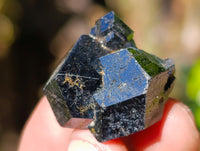 Natural Schorl Black Tourmaline Terminated Crystal Specimens x 70 From Erongo, Namibia - Toprock Gemstones and Minerals 