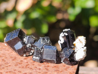 Natural Schorl Black Tourmaline Terminated Crystal Specimens x 70 From Erongo, Namibia - Toprock Gemstones and Minerals 