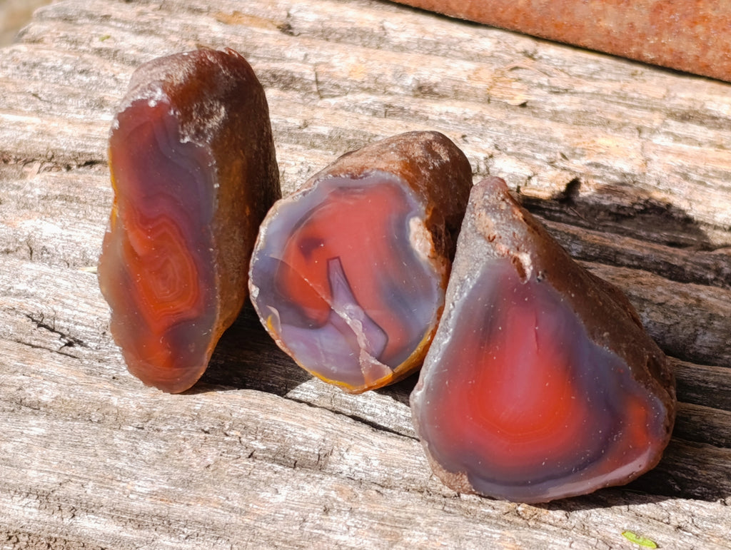 Polished On One Side Red Sashe River Agate Nodules x 20 From Zimbabwe - Toprock Gemstones and Minerals 