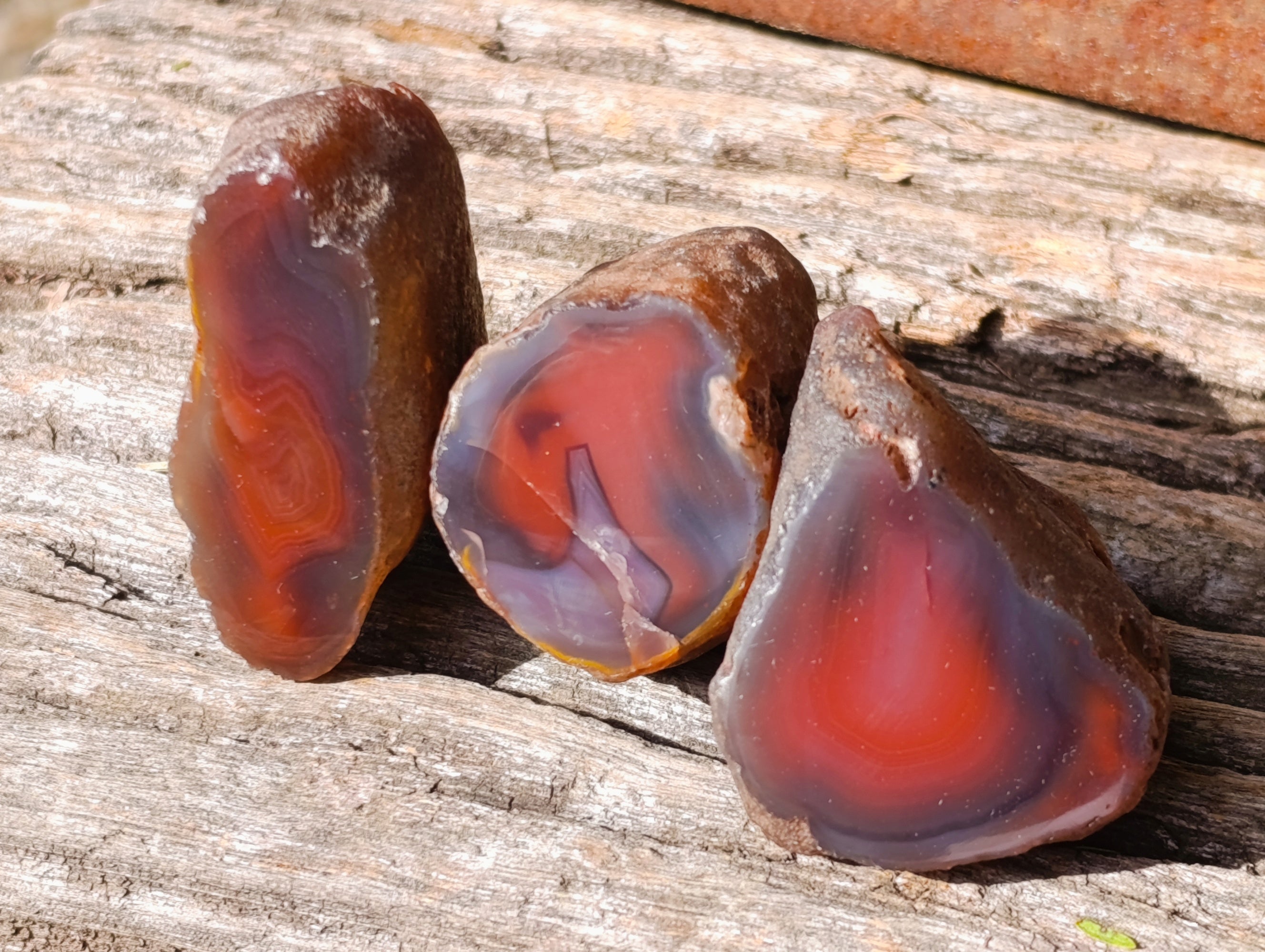 Polished On One Side Red Sashe River Agate Nodules x 20 From Zimbabwe - Toprock Gemstones and Minerals 