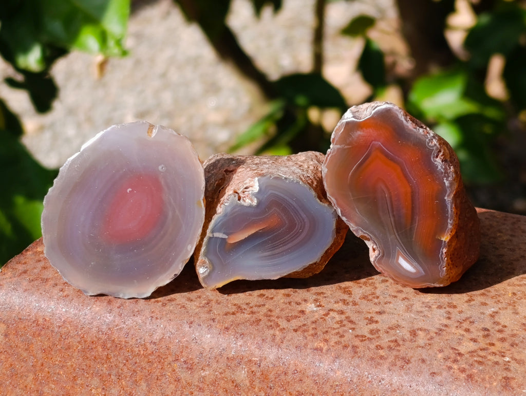 Polished On One Side Red Sashe River Agate Nodules x 20 From Zimbabwe - Toprock Gemstones and Minerals 