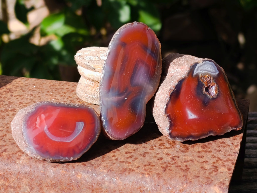 Polished On One Side Red Sashe River Agate Nodules x 20 From Zimbabwe - Toprock Gemstones and Minerals 