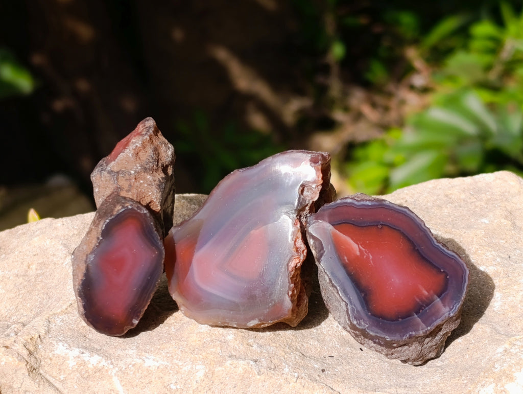 Polished On One Side Red Sashe River Agate Nodules x 20 From Zimbabwe - Toprock Gemstones and Minerals 