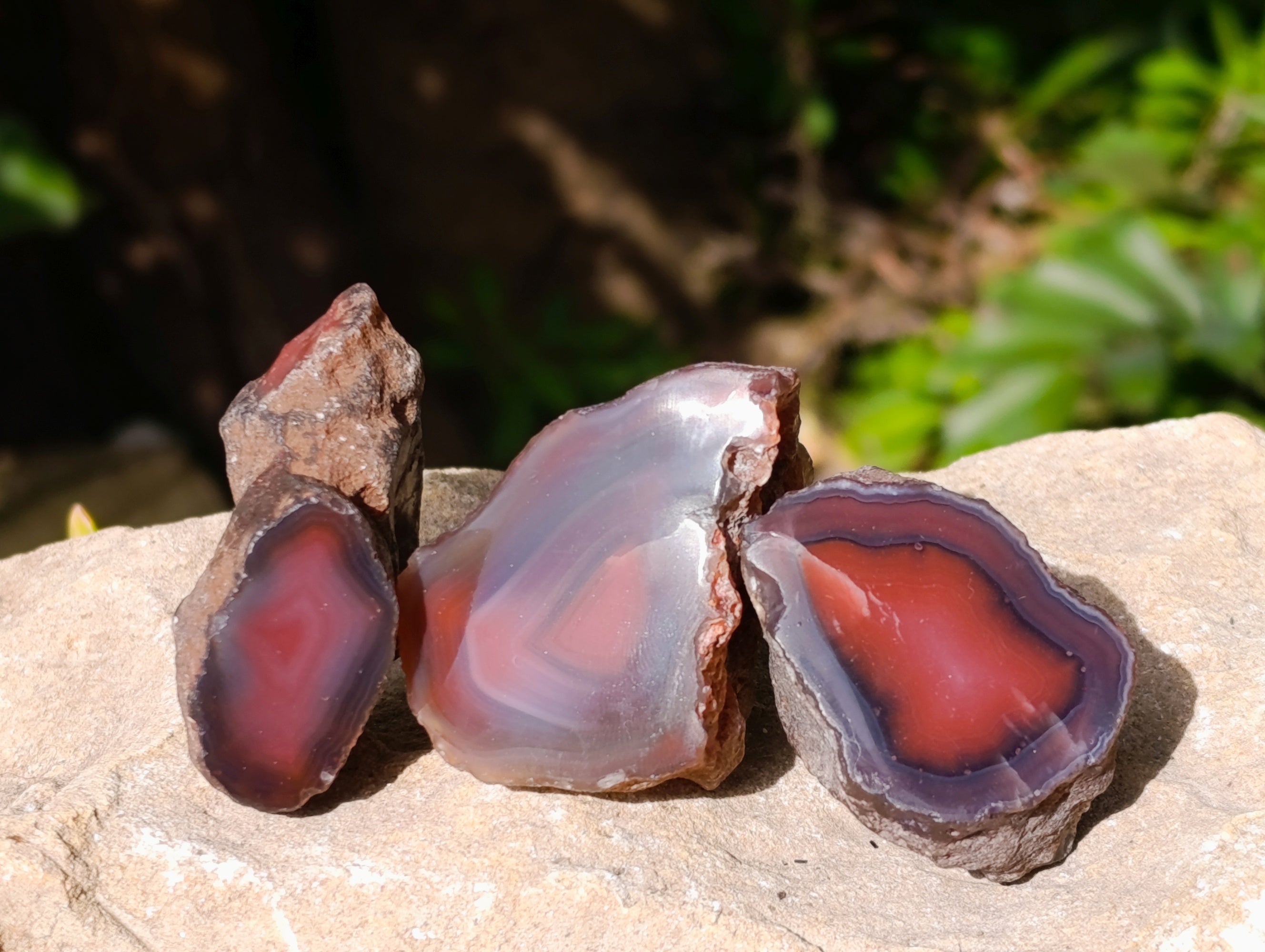 Polished On One Side Red Sashe River Agate Nodules x 20 From Zimbabwe - Toprock Gemstones and Minerals 