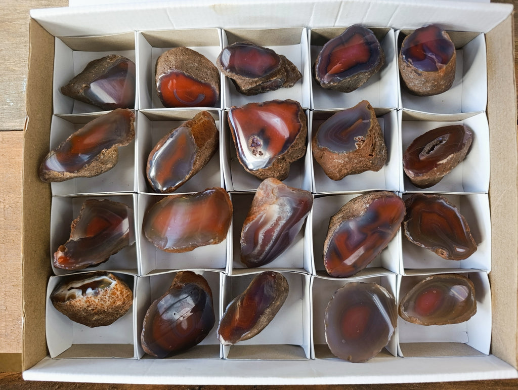 Polished On One Side Red Sashe River Agate Nodules x 20 From Zimbabwe - Toprock Gemstones and Minerals 