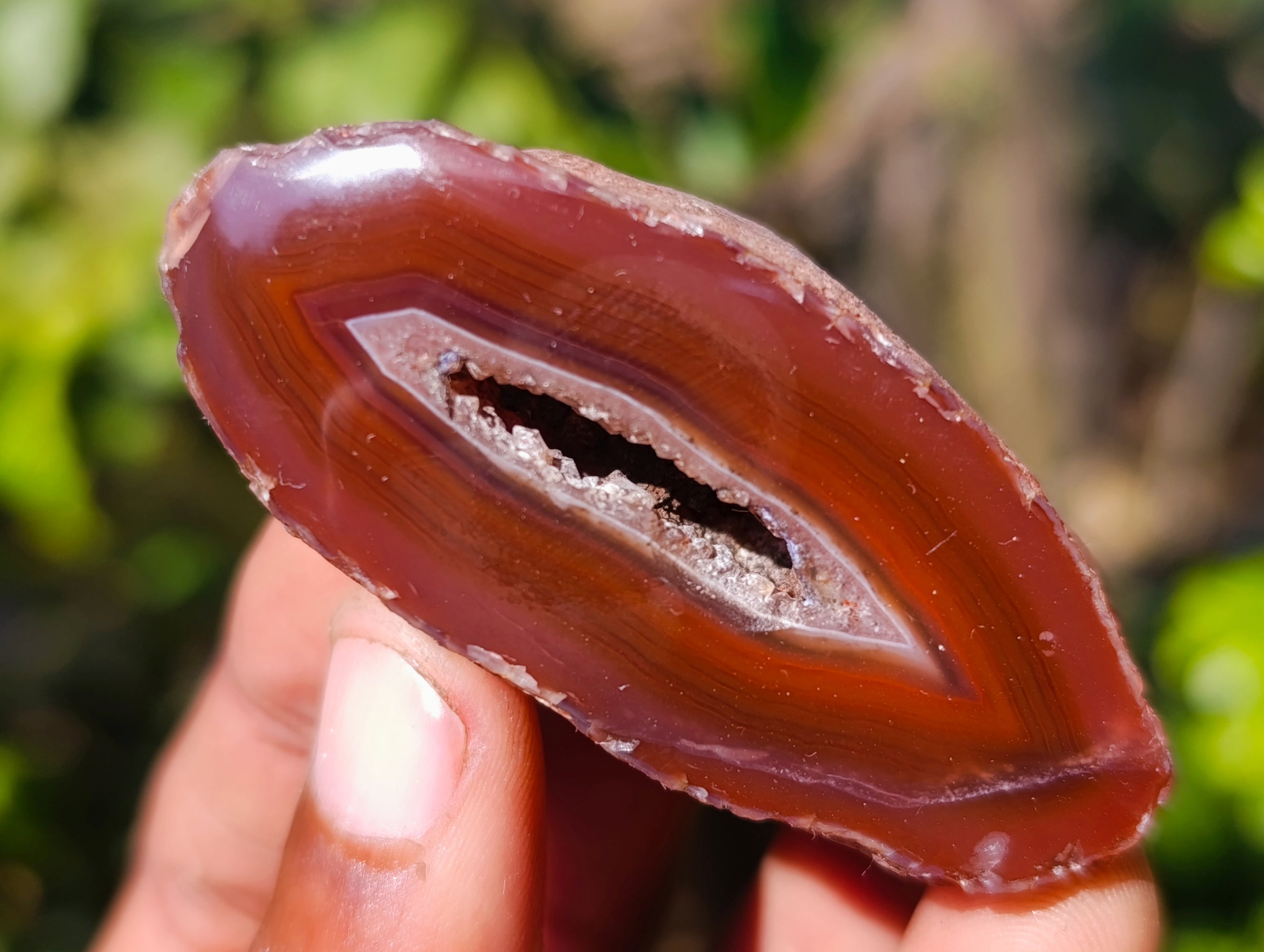 Polished On One Side Red Sashe River Agate Nodules x 20 From Zimbabwe - Toprock Gemstones and Minerals 