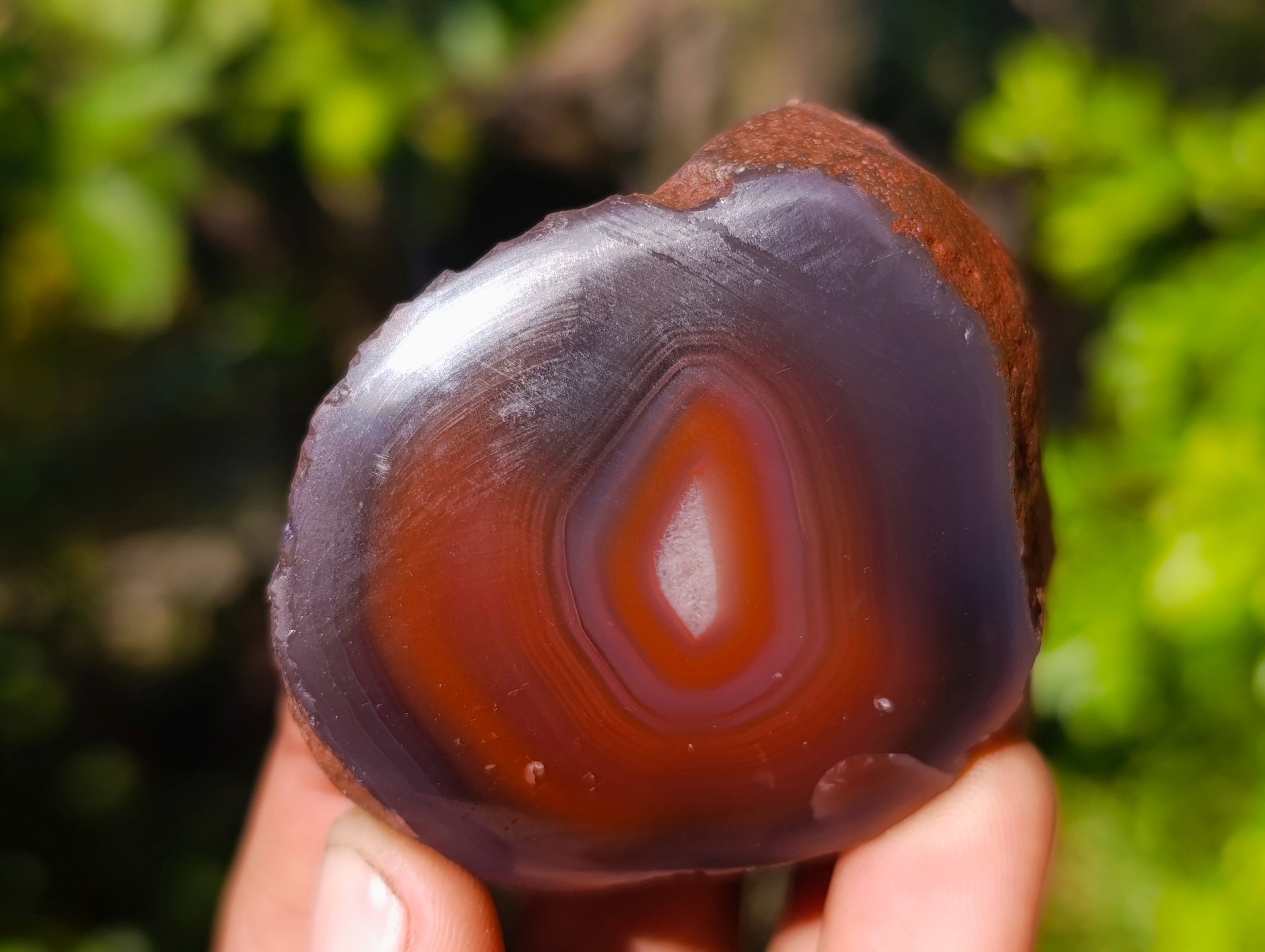 Polished On One Side Red Sashe River Agate Nodules x 20 From Zimbabwe - Toprock Gemstones and Minerals 