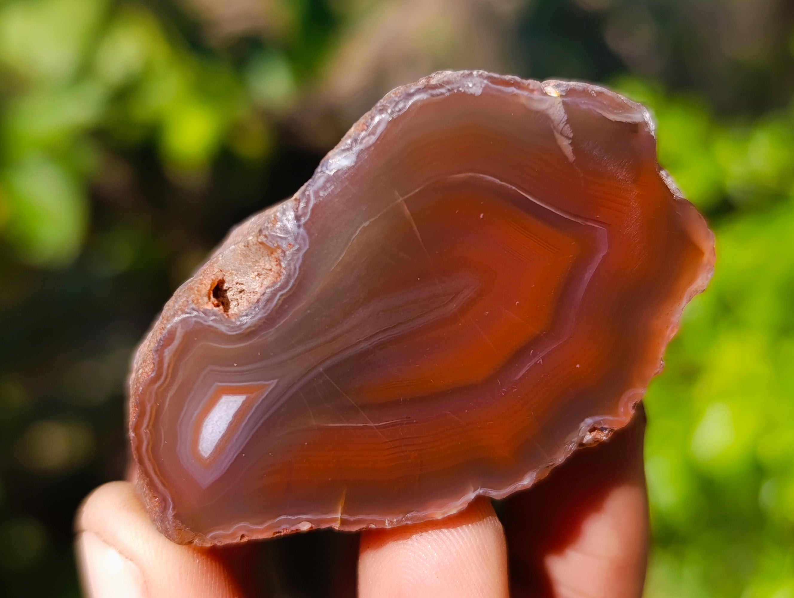 Polished On One Side Red Sashe River Agate Nodules x 20 From Zimbabwe - Toprock Gemstones and Minerals 
