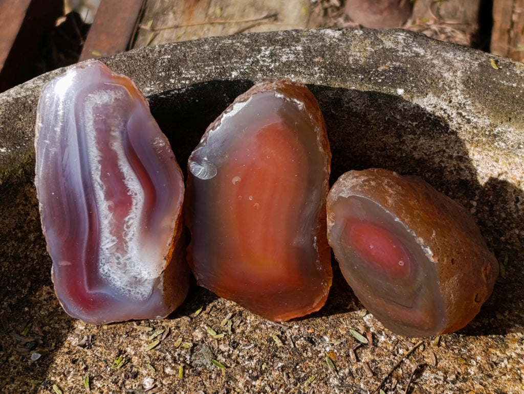 Polished On One Side Red Sashe River Agate Nodules x 20 From Zimbabwe - Toprock Gemstones and Minerals 