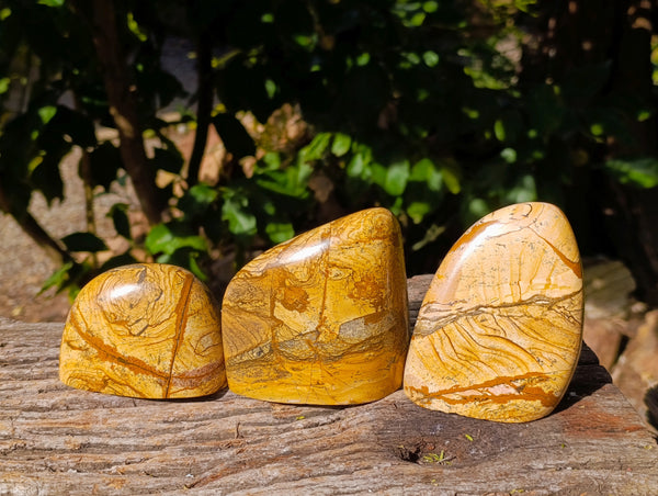 Polished Picture Stone Jasper Standing Free Forms x 3 From Ais-Ais, Namibia