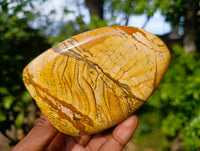 Polished Picture Stone Jasper Standing Free Forms x 3 From Ais-Ais, Namibia - Toprock Gemstones and Minerals 