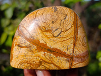 Polished Picture Stone Jasper Standing Free Forms x 3 From Ais-Ais, Namibia - Toprock Gemstones and Minerals 