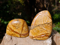 Polished Picture Stone Jasper Standing Free Forms x 3 From Ais-Ais, Namibia - Toprock Gemstones and Minerals 