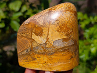 Polished Picture Stone Jasper Standing Free Forms x 3 From Ais-Ais, Namibia - Toprock Gemstones and Minerals 