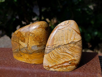 Polished Picture Stone Jasper Standing Free Forms x 3 From Ais-Ais, Namibia - Toprock Gemstones and Minerals 