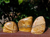 Polished Picture Stone Jasper Standing Free Forms x 3 From Ais-Ais, Namibia - Toprock Gemstones and Minerals 