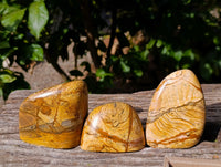 Polished Picture Stone Jasper Standing Free Forms x 3 From Ais-Ais, Namibia - Toprock Gemstones and Minerals 
