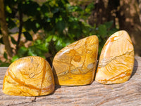 Polished Picture Stone Jasper Standing Free Forms x 3 From Ais-Ais, Namibia - Toprock Gemstones and Minerals 