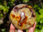 Polished Fossilized Septerye Spheres x 4 From Mahajanga, Madagascar - Toprock Gemstones and Minerals 