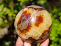 Polished Fossilized Septerye Spheres x 4 From Mahajanga, Madagascar - Toprock Gemstones and Minerals 