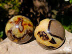 Polished Fossilized Septerye Spheres x 4 From Mahajanga, Madagascar - Toprock Gemstones and Minerals 