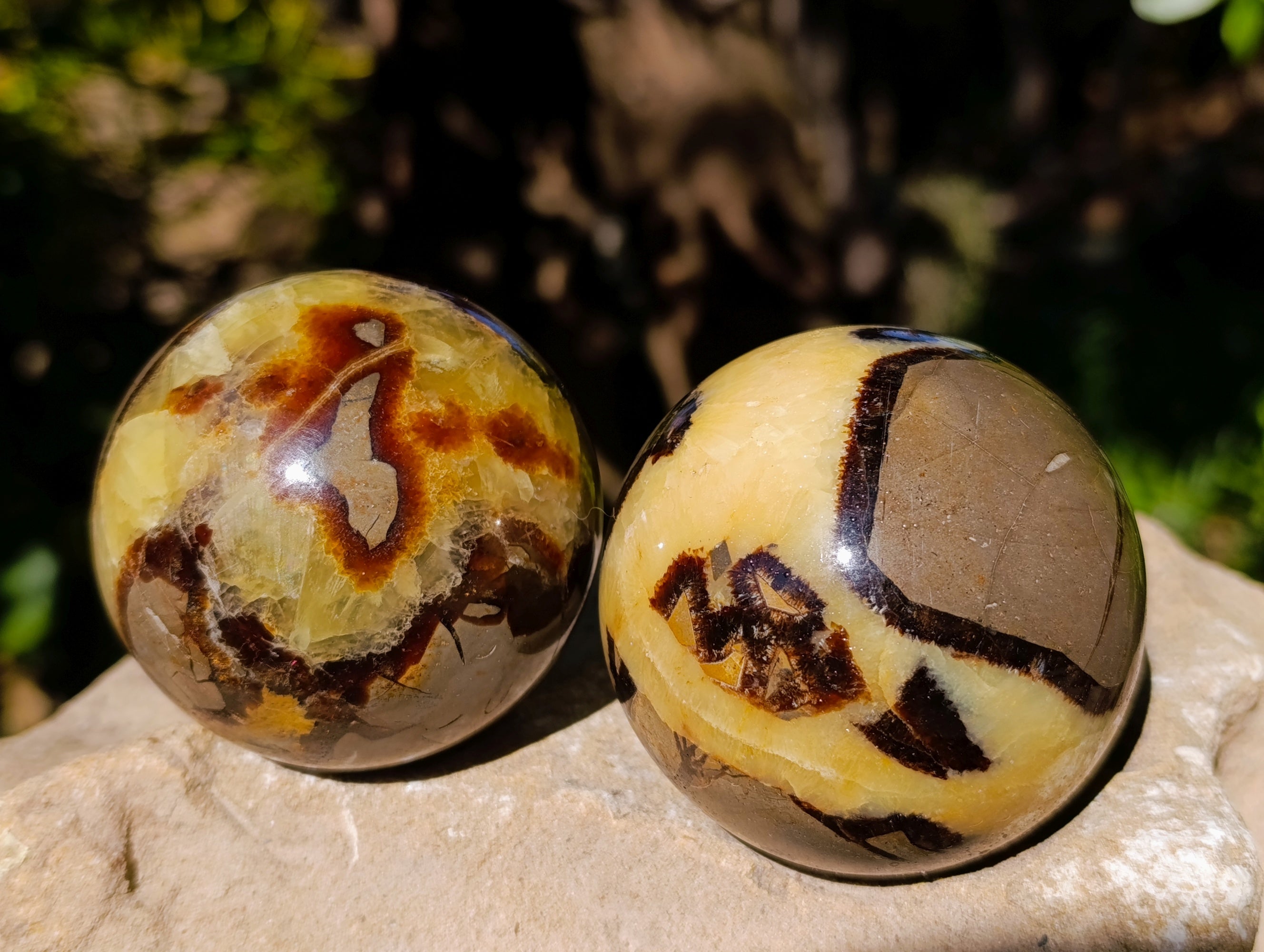 Polished Fossilized Septerye Spheres x 4 From Mahajanga, Madagascar - Toprock Gemstones and Minerals 