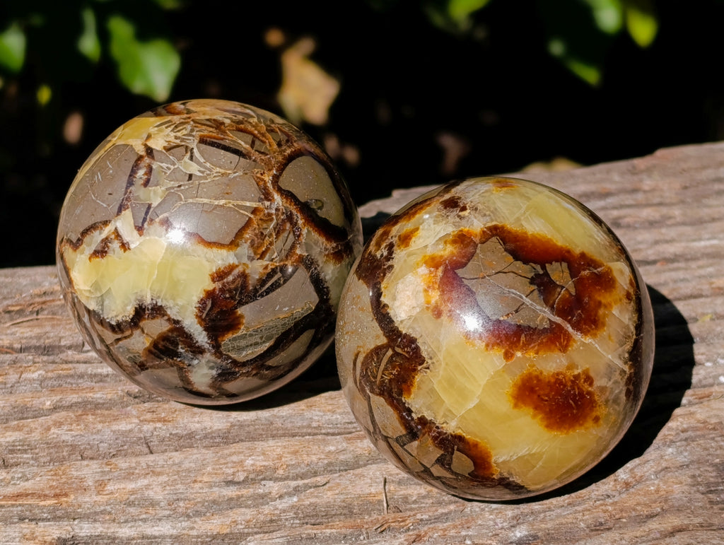 Polished Fossilized Septerye Spheres x 4 From Mahajanga, Madagascar - Toprock Gemstones and Minerals 