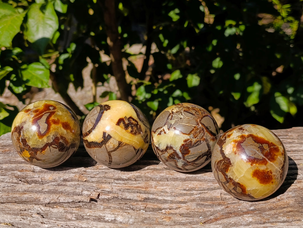 Polished Fossilized Septerye Spheres x 4 From Mahajanga, Madagascar - Toprock Gemstones and Minerals 