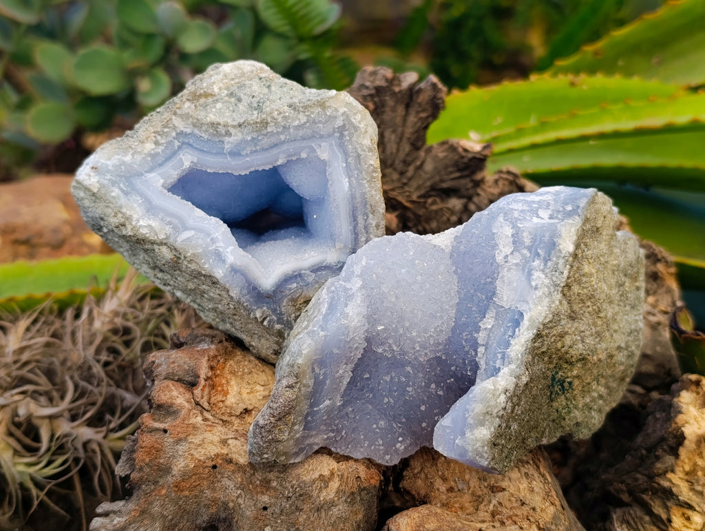Natural Blue Lace Agate Geode x 4 From Nsanje, Malawi - Toprock Gemstones and Minerals 