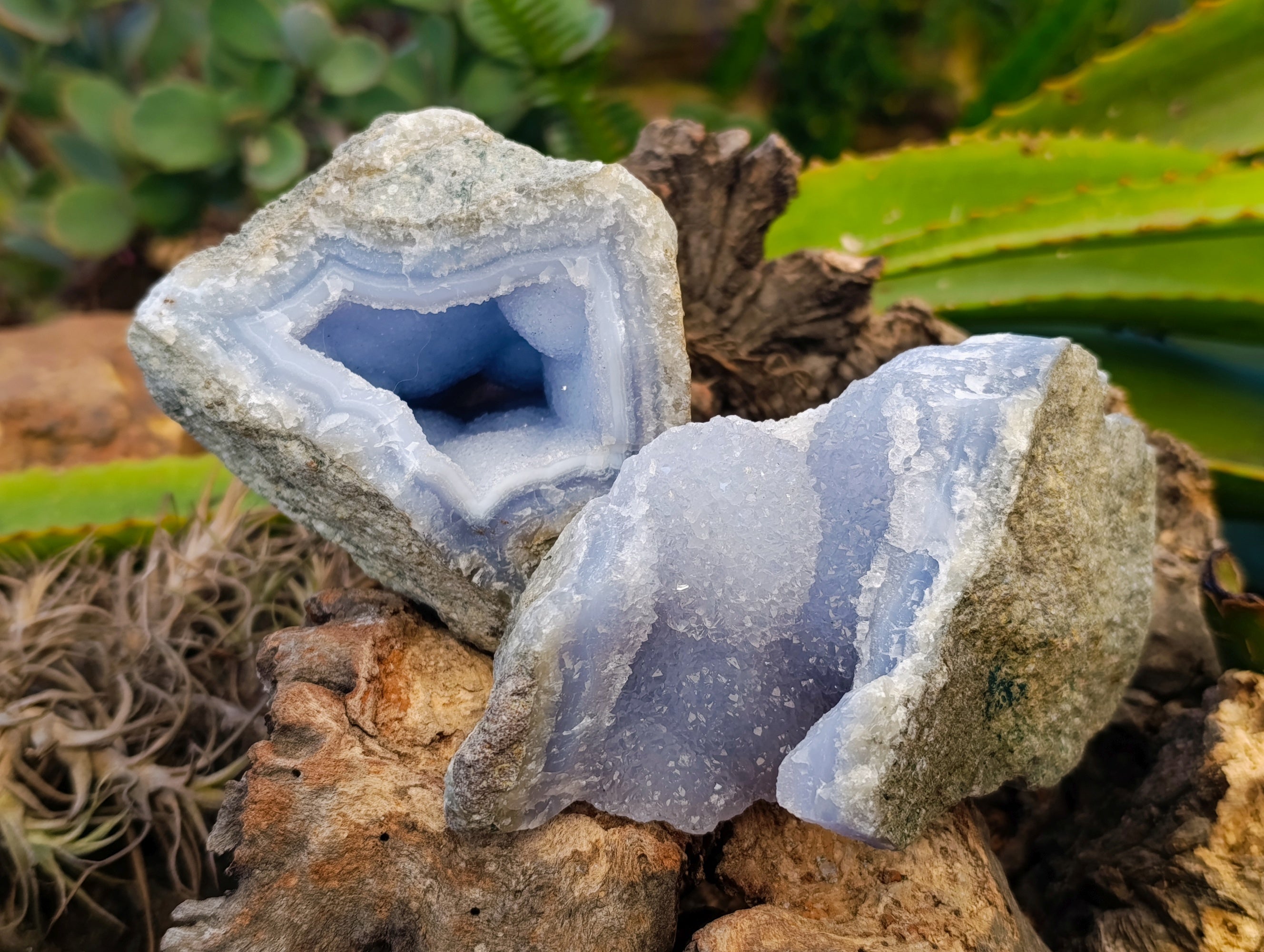 Natural Blue Lace Agate Geode x 4 From Nsanje, Malawi - Toprock Gemstones and Minerals 