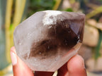 Polished Smokey Quartz and Window Amethyst Crystals x 6 From Madagascar - Toprock Gemstones and Minerals 