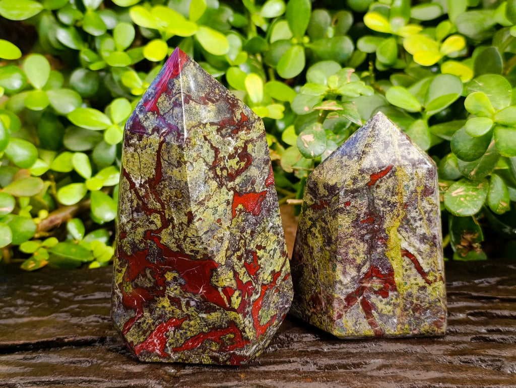 Polished Bastite Dragons Blood Stone Points x 2 From Tshipise, South Africa - Toprock Gemstones and Minerals 