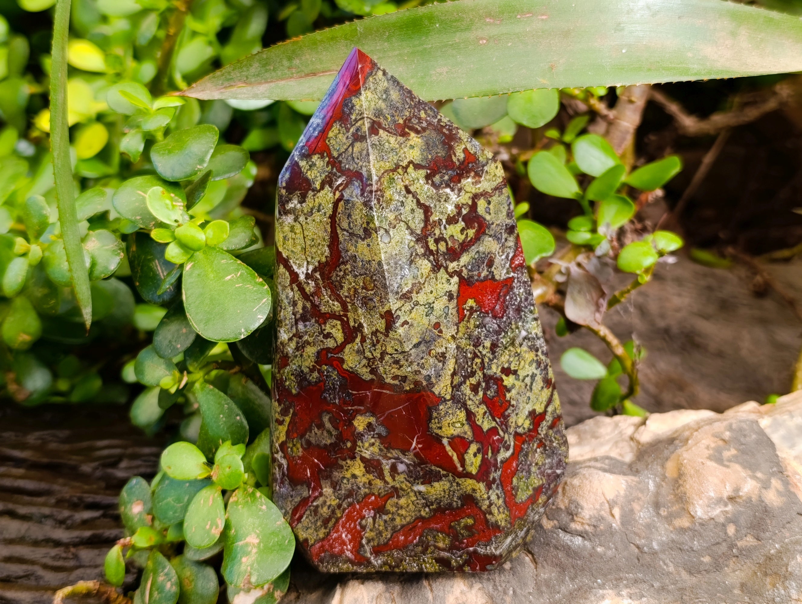Polished Bastite Dragons Blood Stone Points x 2 From Tshipise, South Africa - Toprock Gemstones and Minerals 