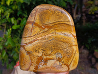 Polished Picture Stone Jasper Standing Free Forms x 1 From Ais-Ais, Namibia - Toprock Gemstones and Minerals 