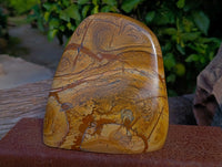Polished Picture Stone Jasper Standing Free Forms x 1 From Ais-Ais, Namibia - Toprock Gemstones and Minerals 