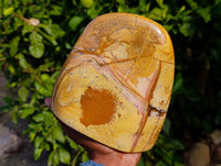 Polished Picture Stone Jasper Standing Free Forms x 1 From Ais-Ais, Namibia - Toprock Gemstones and Minerals 