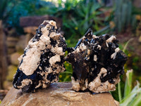 Natural Aegirine and Orthoclase Clusters x 6 From Zomba, Malawi - Toprock Gemstones and Minerals 