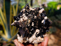 Natural Aegirine and Orthoclase Clusters x 6 From Zomba, Malawi - Toprock Gemstones and Minerals 