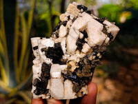 Natural Aegirine and Orthoclase Clusters x 6 From Zomba, Malawi - Toprock Gemstones and Minerals 