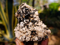 Natural Aegirine and Orthoclase Clusters x 6 From Zomba, Malawi - Toprock Gemstones and Minerals 
