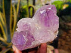 Natural Jacaranda Amethyst Quartz Geodes x 2 From Mumbwa, Zambia - Toprock Gemstones and Minerals 