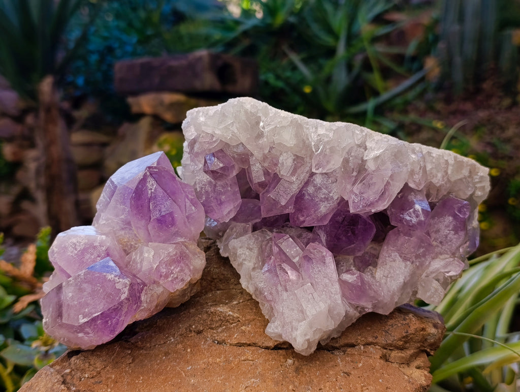 Natural Jacaranda Amethyst Quartz Geodes x 2 From Mumbwa, Zambia - Toprock Gemstones and Minerals 