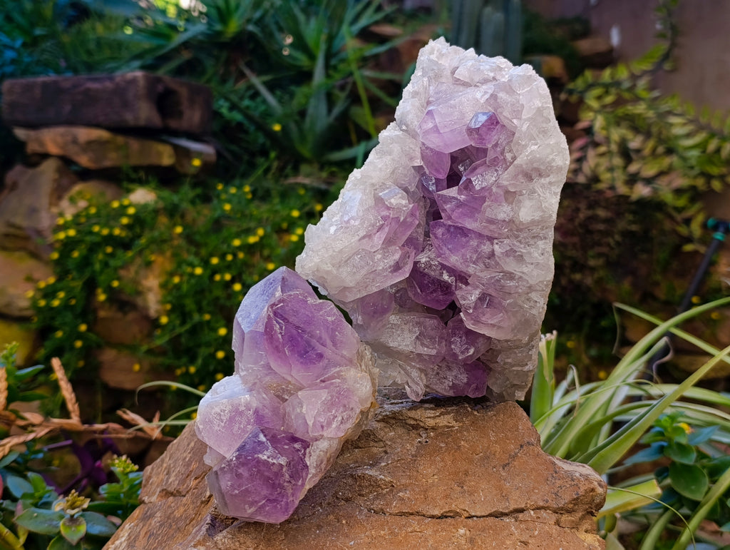 Natural Jacaranda Amethyst Quartz Geodes x 2 From Mumbwa, Zambia - Toprock Gemstones and Minerals 