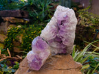 Natural Jacaranda Amethyst Quartz Geodes x 2 From Mumbwa, Zambia - Toprock Gemstones and Minerals 