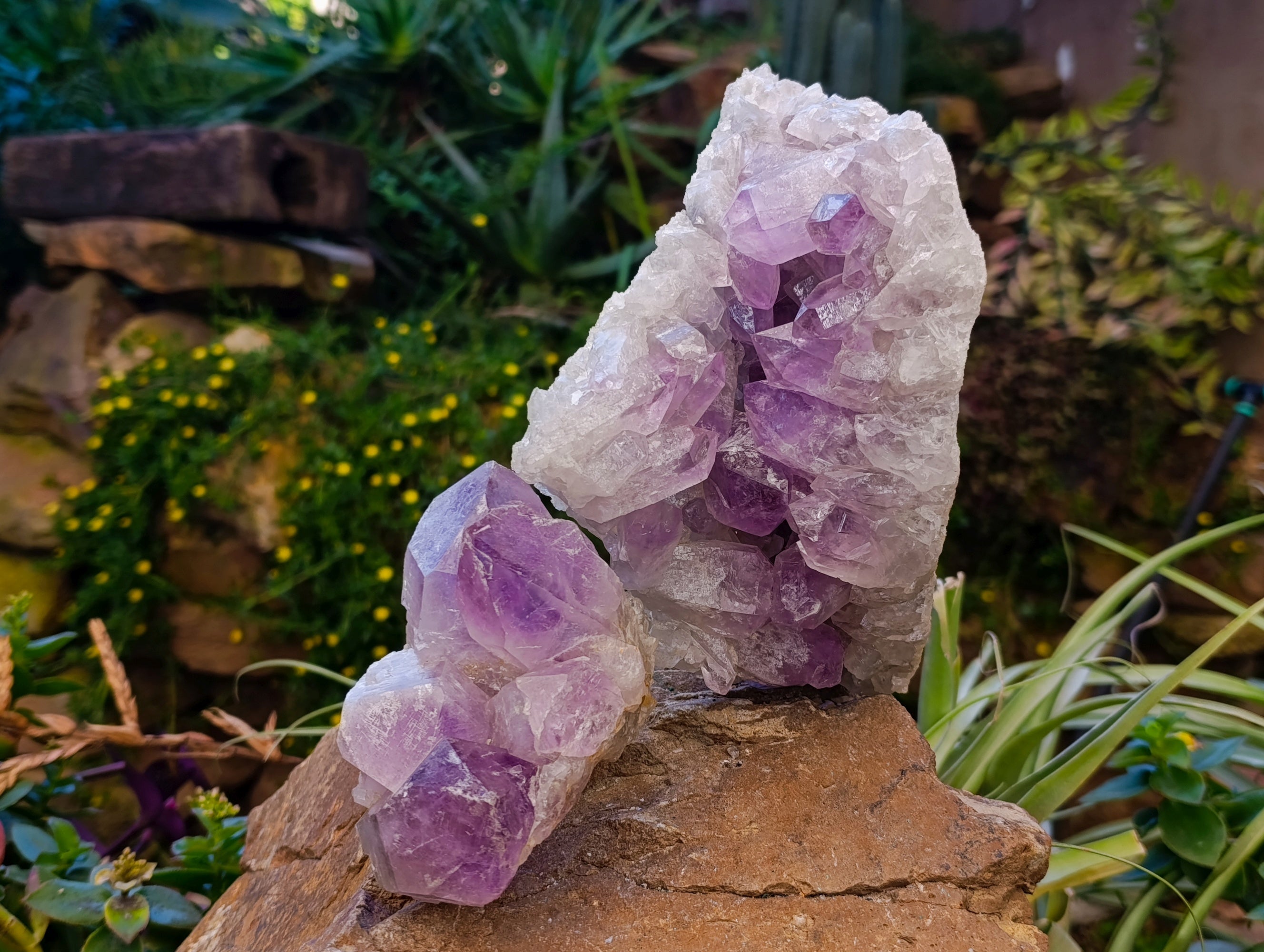 Natural Jacaranda Amethyst Quartz Geodes x 2 From Mumbwa, Zambia - Toprock Gemstones and Minerals 
