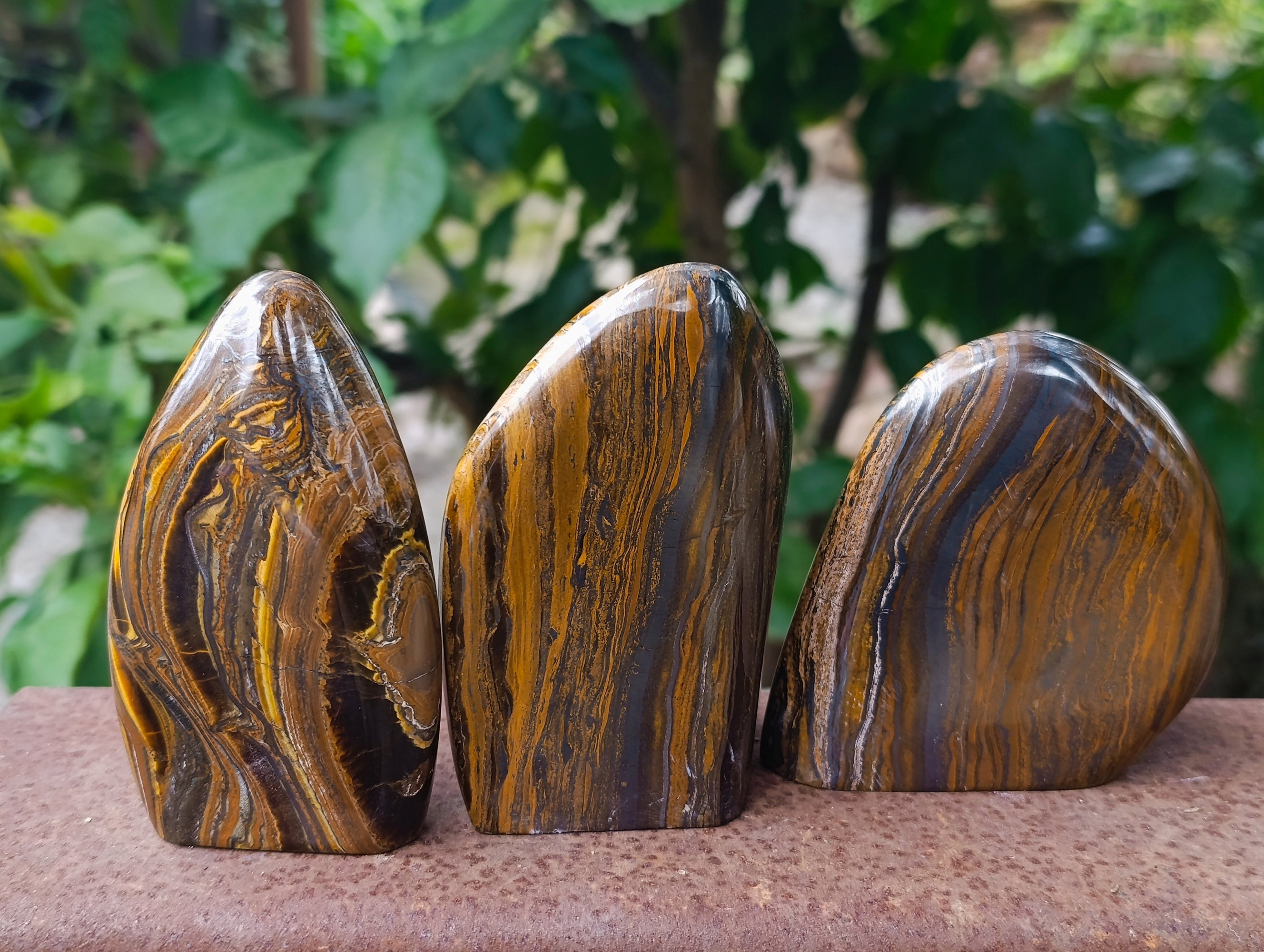 Polished Golden River Tigers Eye Standing Free Forms x 3 From Prieska, South Africa - Toprock Gemstones and Minerals 