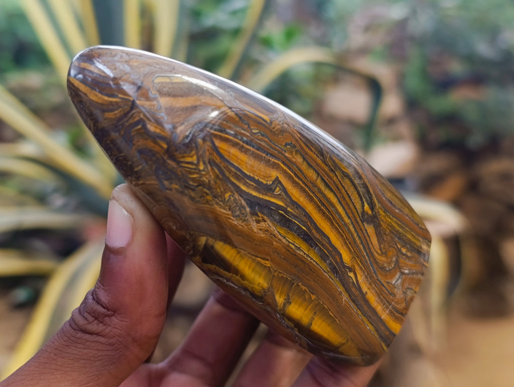 Polished Golden River Tigers Eye Standing Free Forms x 3 From Prieska, South Africa - Toprock Gemstones and Minerals 