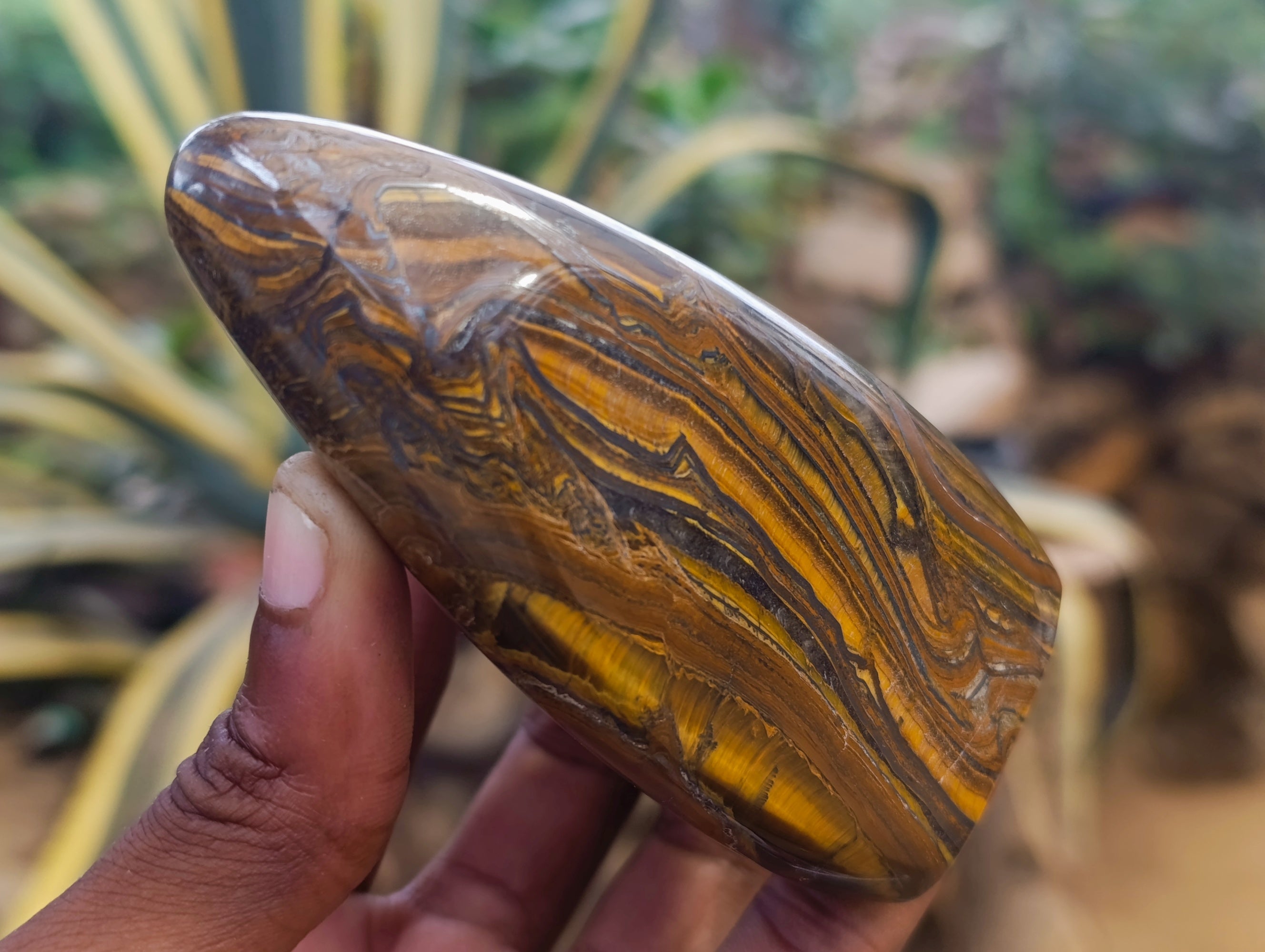 Polished Golden River Tigers Eye Standing Free Forms x 3 From Prieska, South Africa - Toprock Gemstones and Minerals 