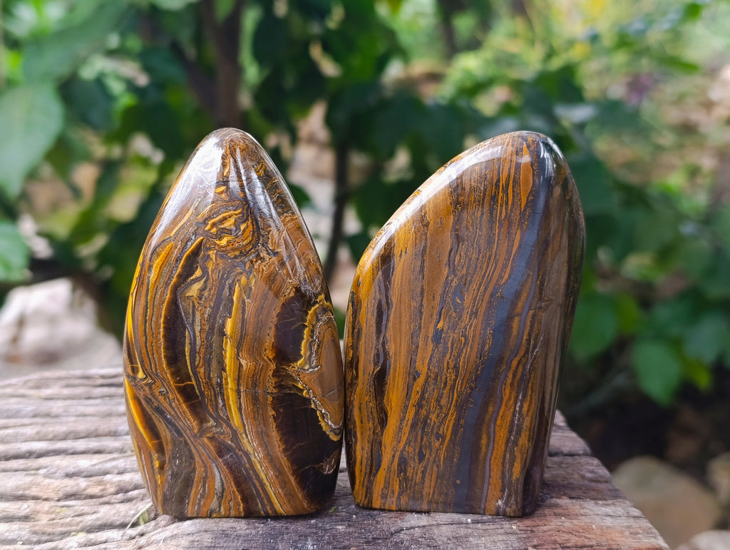 Polished Golden River Tigers Eye Standing Free Forms x 3 From Prieska, South Africa - Toprock Gemstones and Minerals 